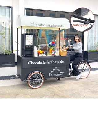 220V/380V Voltage Tricycle Food Truck mobile pour le chariot à glaces de la rue de design