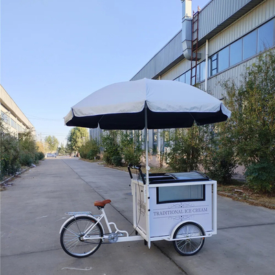 Vélo électrique à trois roues 220V/380V Voltage 220*87*240cm