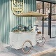 Capacité de 200 kg Couleur personnalisée Chariot de restauration rapide Vélo électrique camion de crème glacée