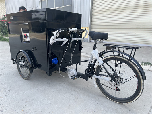 Tricycle alimentaire électrique à panneau solaire pour une utilisation facile et pratique 277*210*70cm