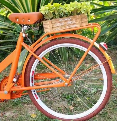 Australie Scooter Food Cart Tricycle avec matériau de soja et taille compacte