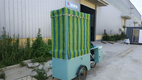 Cuisine électrique toute cuisine glace camion tricycle pour le fret Votre choix parfait