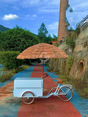 3 roues glace vélo tricycle chariot de nourriture mobile avec n'importe quelle sélection de variation de couleur