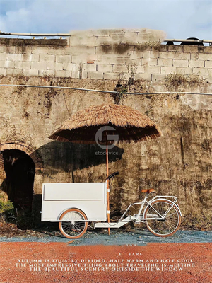 3 roues glace vélo tricycle chariot de nourriture mobile avec n'importe quelle sélection de variation de couleur