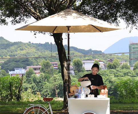 250*124*135cm Application en conserve Café et nourriture Chariot à tricycle avec charge et capacité