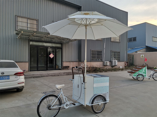 Chariot-remorque à vélo à tension 220V/380V pour vendre des glaces et des fruits frais
