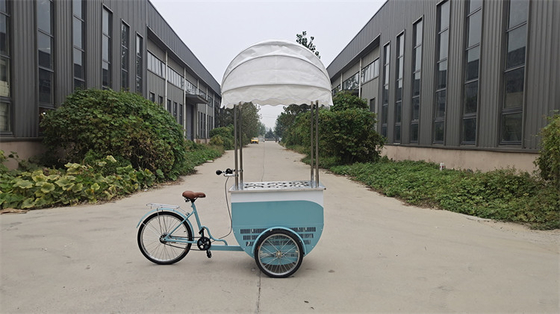 Vélo de congélation pour crème glacée à la couleur personnalisée