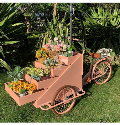 L'usine de transformation des légumes est équipée d'un chariot de vélo mobile pour le café de 200 cm*W95.00cm*H110.00cm