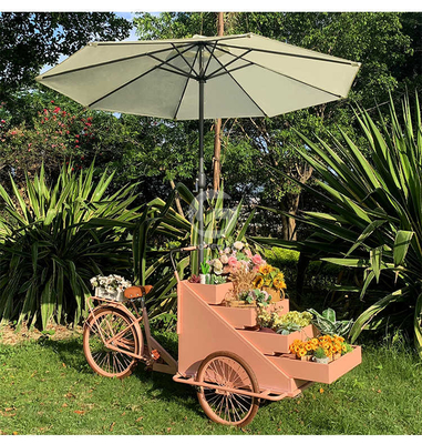 L'usine de transformation des légumes est équipée d'un chariot de vélo mobile pour le café de 200 cm*W95.00cm*H110.00cm