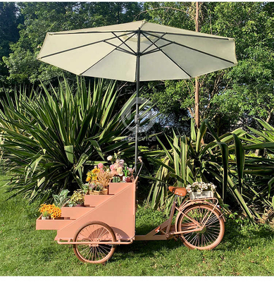 L'usine de transformation des légumes est équipée d'un chariot de vélo mobile pour le café de 200 cm*W95.00cm*H110.00cm