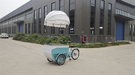 Camions alimentaires mobiles de 100 kg Production professionnelle et facile à utiliser pour une efficacité