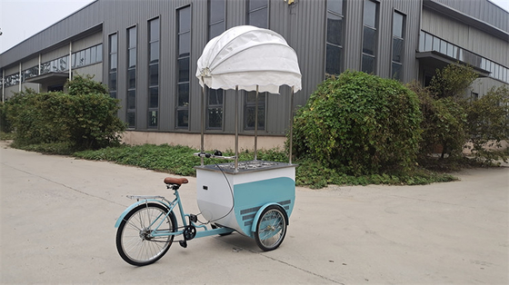 Camions alimentaires mobiles de 100 kg Production professionnelle et facile à utiliser pour une efficacité