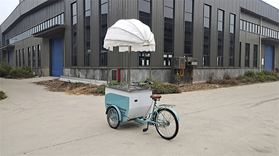 Camions alimentaires mobiles de 100 kg Production professionnelle et facile à utiliser pour une efficacité