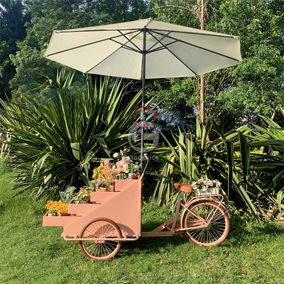 Détente équipement de restauration rapide vélo de nourriture camion de vente avec personnalisation acceptable 80 kg