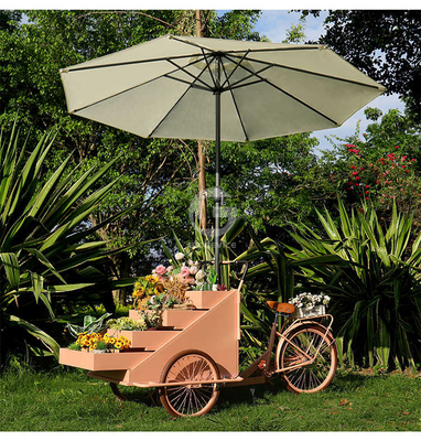 Chariot de vente de nourriture en plein air avec matière première de soja et vélo électrique à trois roues