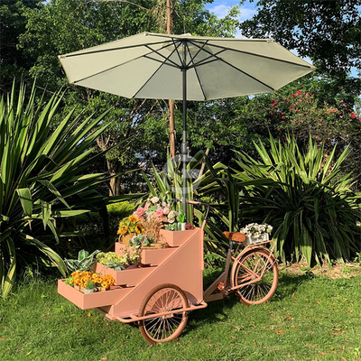 Chariot de vente de nourriture en plein air avec matière première de soja et vélo électrique à trois roues