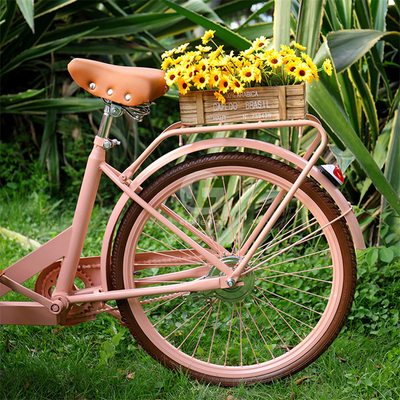 Chariot de vente de nourriture en plein air avec matière première de soja et vélo électrique à trois roues