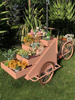 Chariot de vente de café mobile à trois roues, vélo de livraison de pizza pour la vente de rue en plein air