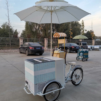 100 kg vélo de crème glacée classique fast food remorque camion tricycle pour usine d'assaisonnement