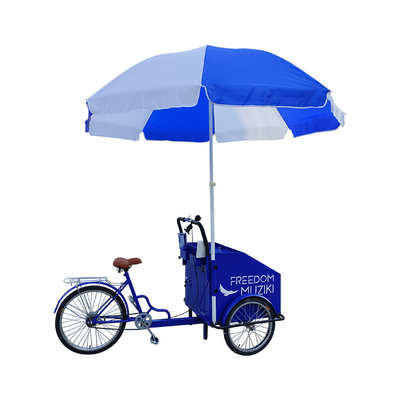 220V/380V Vélo de nourriture de rue mobile Tricycle de panier pour un fonctionnement et une configuration faciles