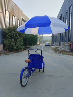 Capacité de charge de 70 kg Pédale électrique Chariot de vélo à trois roues avec service personnalisé