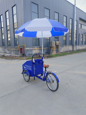 Capacité de charge de 70 kg Pédale électrique Chariot de vélo à trois roues avec service personnalisé
