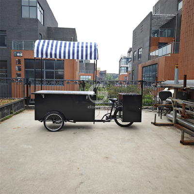 Café Vente électrique Tricycle congélateur Business Bike Carrosses de crème glacée Vélo 120kg