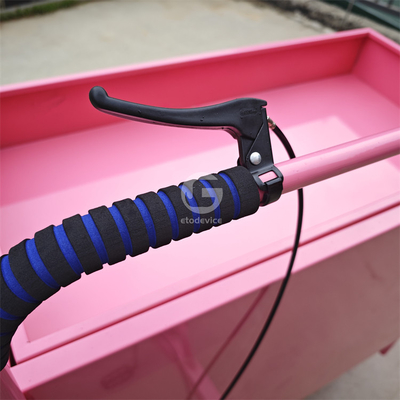 Vélo électrique sur mesure pour le pain tricycle mobile OEM pour les légumes et les fruits en conserve