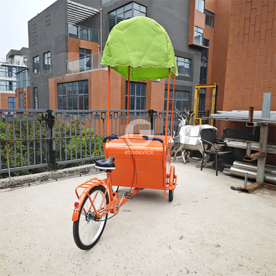 Vendeur de vélo de voyage alimentaire en plein air avec tricycle de chargement personnalisé