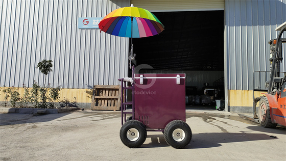 220v/110v Chariot mobile pour glace Concession réfrigérateur congélateur dans l'usine d'assaisonnement