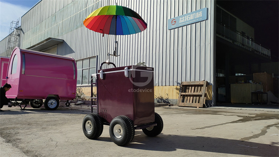 220v/110v Chariot mobile pour glace Concession réfrigérateur congélateur dans l'usine d'assaisonnement