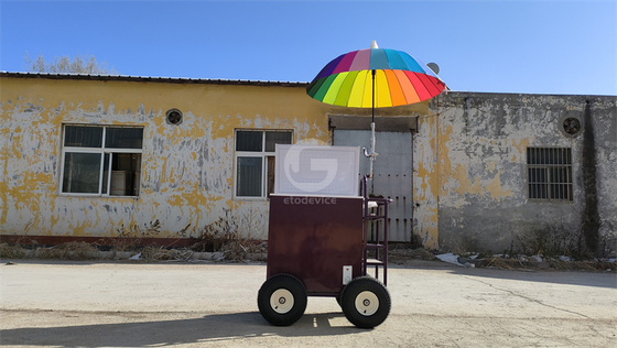 220v/110v Chariot mobile pour glace Concession réfrigérateur congélateur dans l'usine d'assaisonnement