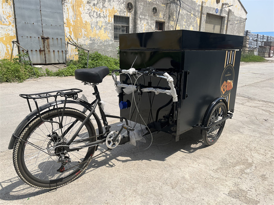 Tricycle mobile de restauration rapide pliable sur mesure pour la vente de collations de fret standard UE