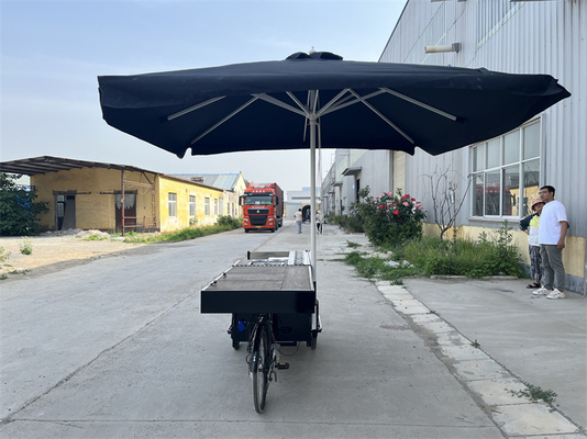 Tricycle mobile de restauration rapide pliable sur mesure pour la vente de collations de fret standard UE