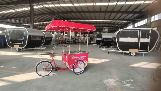 Vente d'usine Pousse à la main glace Popsicle Cart Vente alimentaire vélo