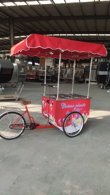 Vente d'usine Pousse à la main glace Popsicle Cart Vente alimentaire vélo