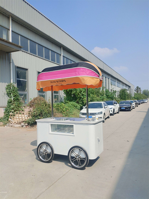 Truck de nourriture de haute qualité Armoire d'affichage de crème glacée Gelato Popsicle Crème glacée Chariot de poussée