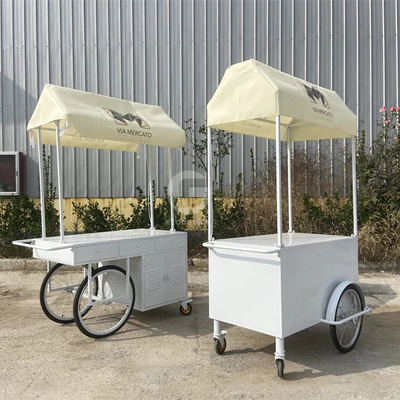Petit chariot électrique portable Plaque froide pousse parapluie Mini roue de supermarché