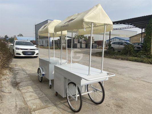 Petit chariot électrique portable Plaque froide pousse parapluie Mini roue de supermarché