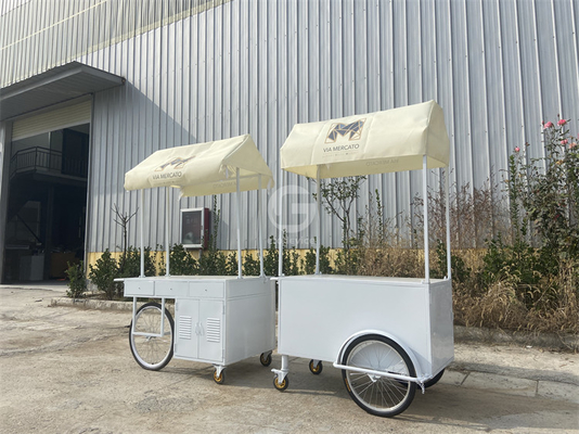 Boutique de panier de crème glacée friteuse mini bar classique scooter pousse panier