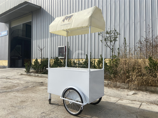 Boutique de panier de crème glacée friteuse mini bar classique scooter pousse panier