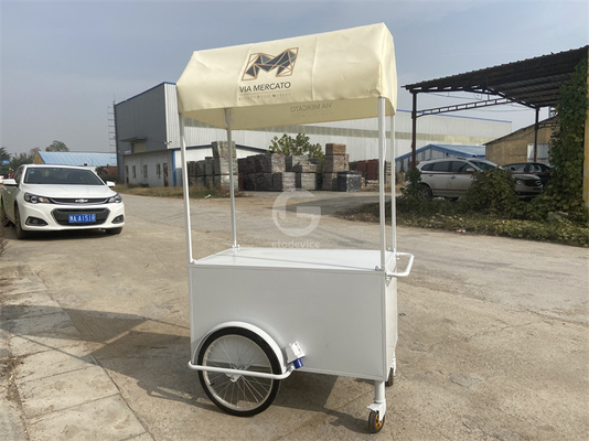 Boutique de panier de crème glacée friteuse mini bar classique scooter pousse panier