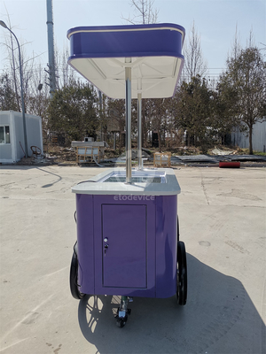 Application de rue Chariot de glace Chariot de glace italien avec la norme européenne