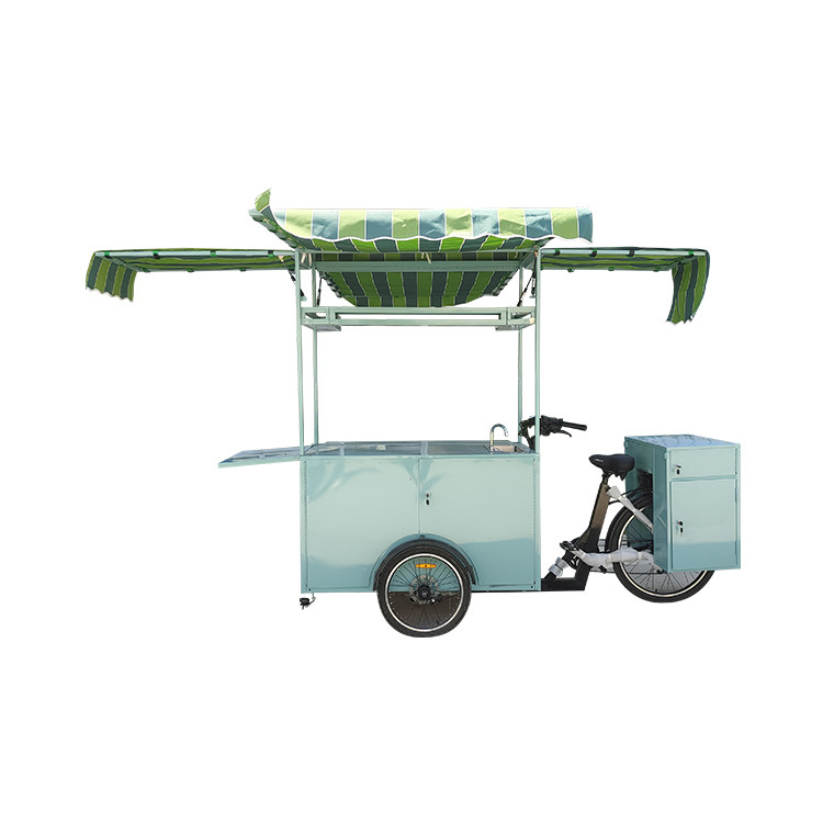 Cuisine électrique toute cuisine glace camion tricycle pour le fret Votre choix parfait