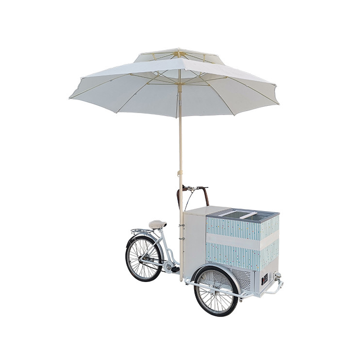 Chariot-remorque à vélo à tension 220V/380V pour vendre des glaces et des fruits frais