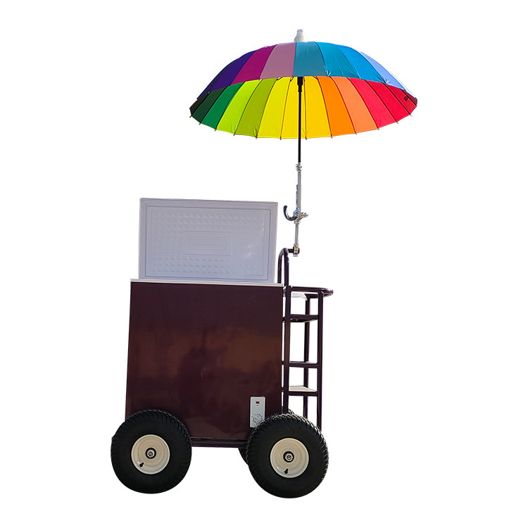 220v/110v Chariot mobile pour glace Concession réfrigérateur congélateur dans l'usine d'assaisonnement